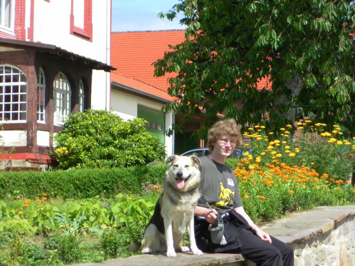 Cosy Flat On A Family Friendly Holiday Farm In Northern Hesse Trendelburg Exteriör bild